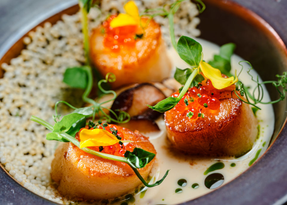 Mugen-Scallops_001-961x689